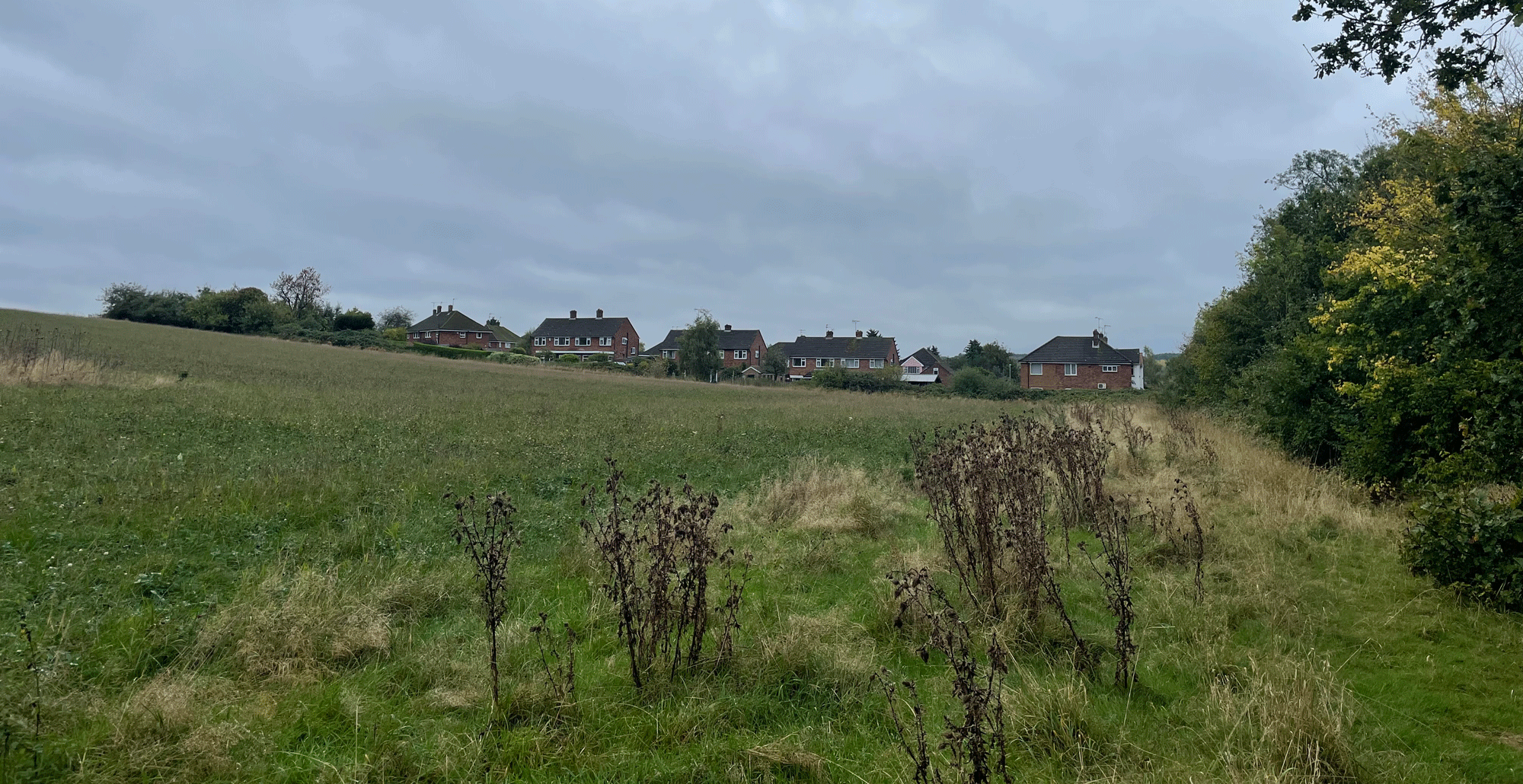 Aerial view of site looking west